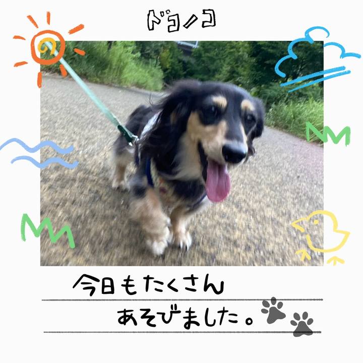 D500845b 3589 482e afd0 6b042e2a2e8f 1755064895197