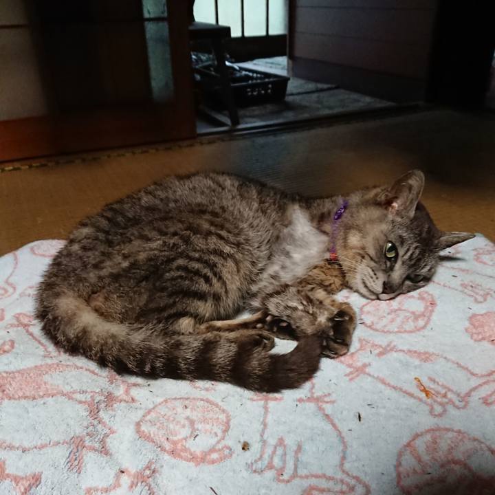 D500e682 363f 4874 88d6 74744cfa5dca 1595886916203