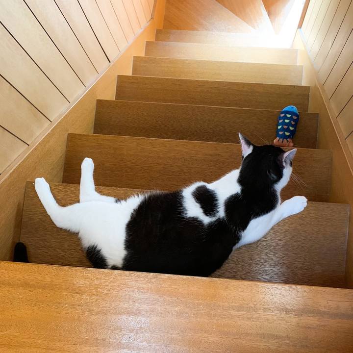 D5010f67 5739 4b43 aad9 a88dd58db297 1567129594012