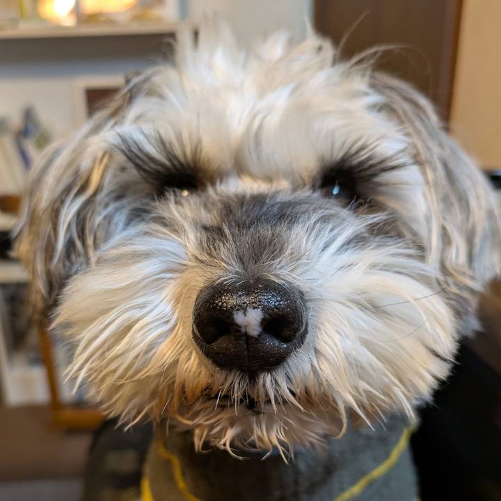 D5014351 d62b 4233 b372 ed2e0d7f1b10 1765633697840