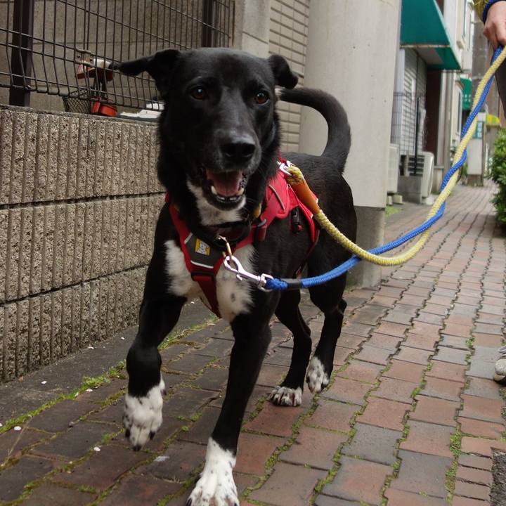 D5014827 7fd0 424e a8a2 bb6661df9969 1585356467631