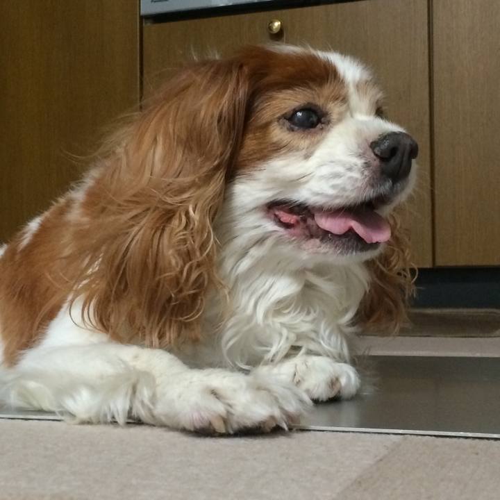 D5014d83 a4f7 4892 815f cd26daf569dd 1524398542481