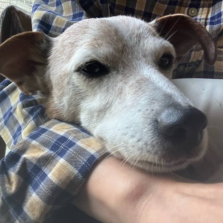 D5014ea0 ccdd 4674 a977 f5c66a8d1b78 1761954142016