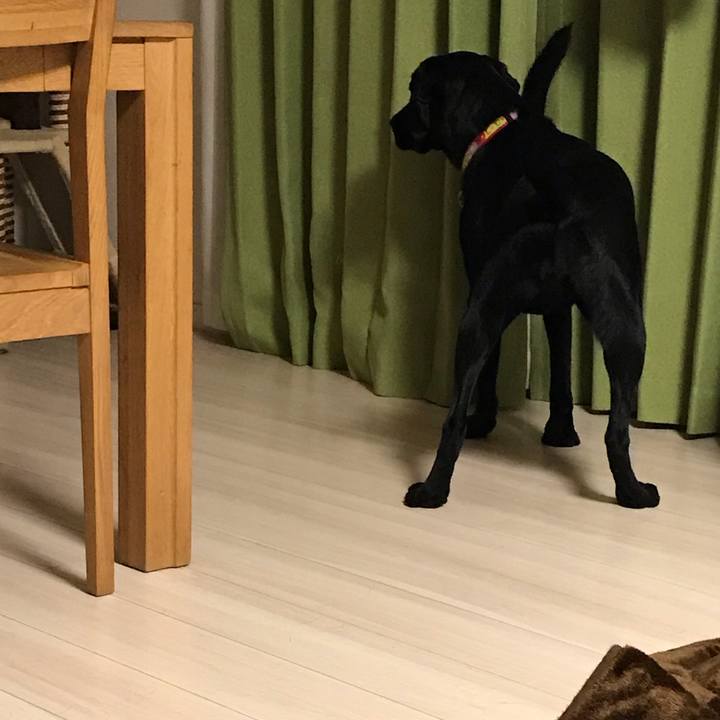 D501a352 eb1e 48f3 86f1 a58005fb6771 1544050868650