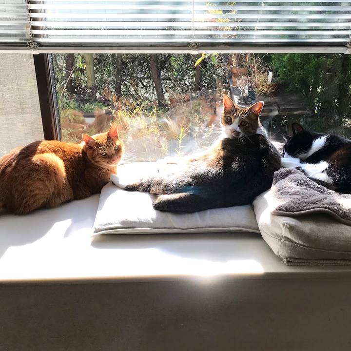 D501a7c8 481b 4c00 9e02 8b3fd712fb97 1513404740810