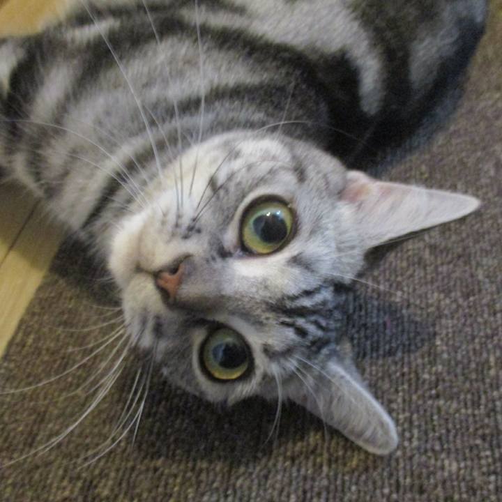 D501e3be ba3a 49c0 9244 1567c05d010a 1568463057286