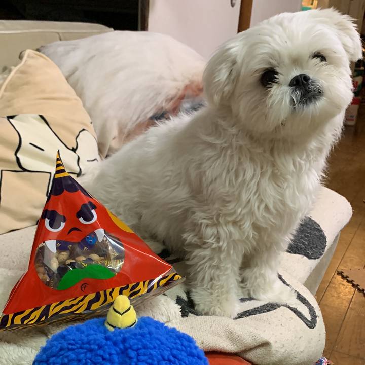 D501f0a6 ac4a 46d0 853a a7faf6344ded 1643886922291