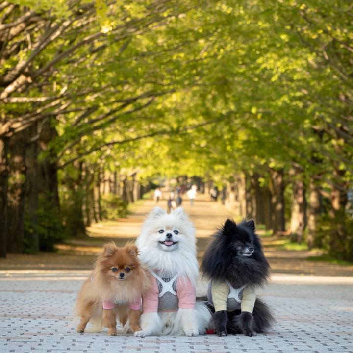 D501f828 0850 4b16 87db 9d625a604e09 1541868653253