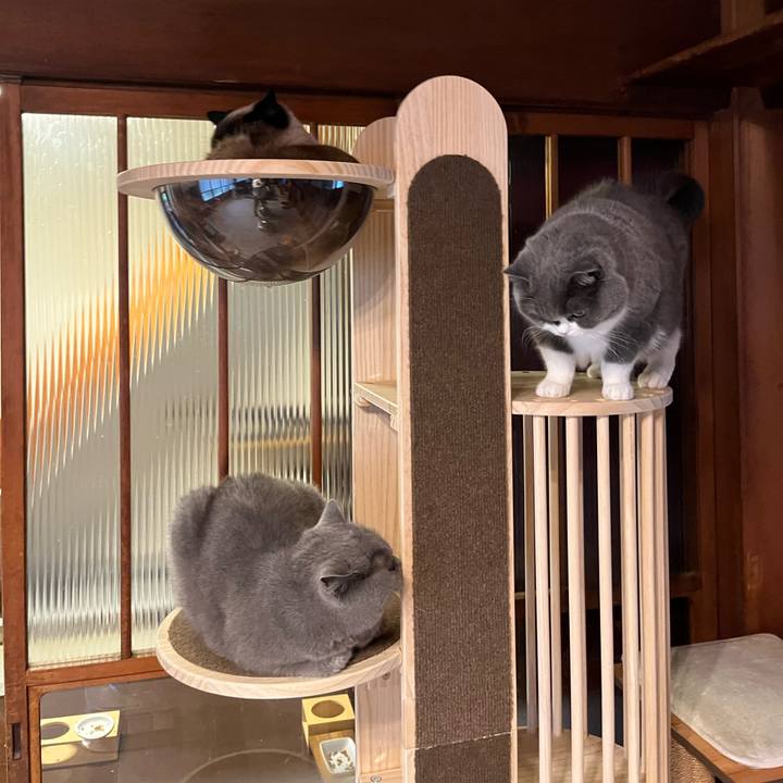 D5020bf5 1102 4c98 b26f f55a19219d9a 1709161983518