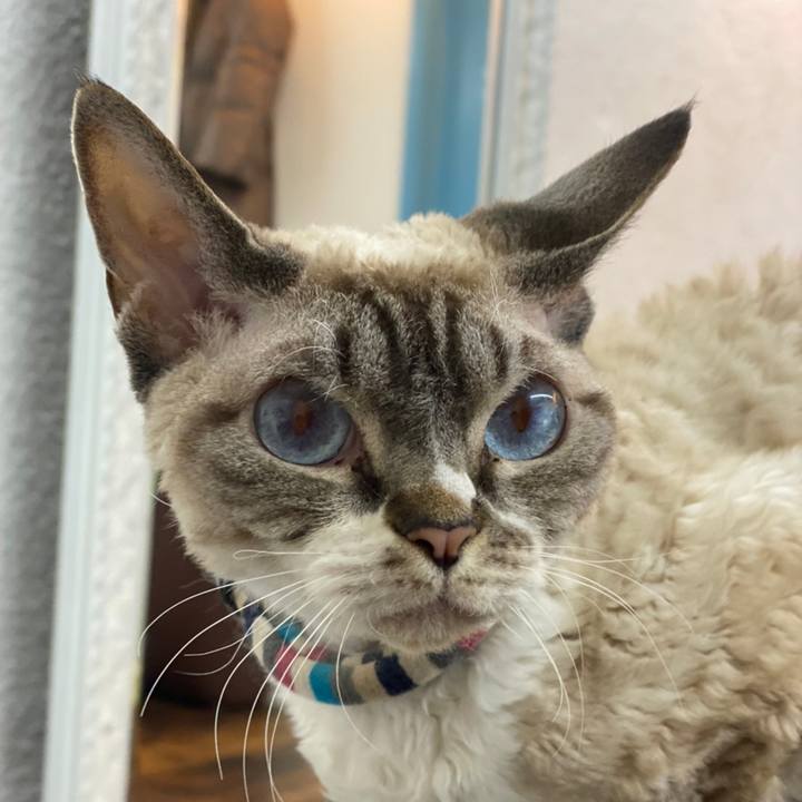 D5020d58 fee5 4308 aebf 590e7e8d1a4a 1641220606198