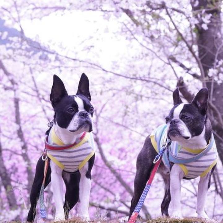 D5022aa3 7a42 488a 8c22 af78e84aa888 1523000497489