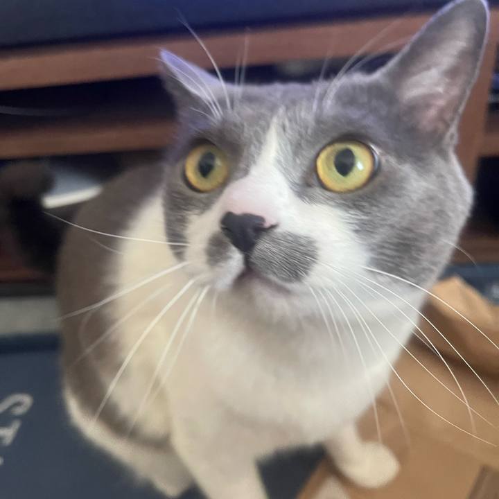 D502364f b2c3 4ca3 82d9 76bd2409268e 1711761435668