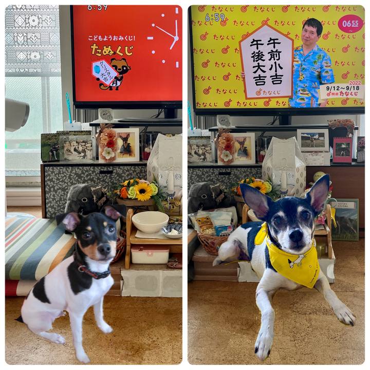 D5023da9 b1ad 4ccc 96c7 79b17f7095a1 1662934463694