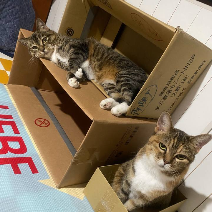 D5024fb5 f86b 4945 8933 6bfa2863185c 1722292997440