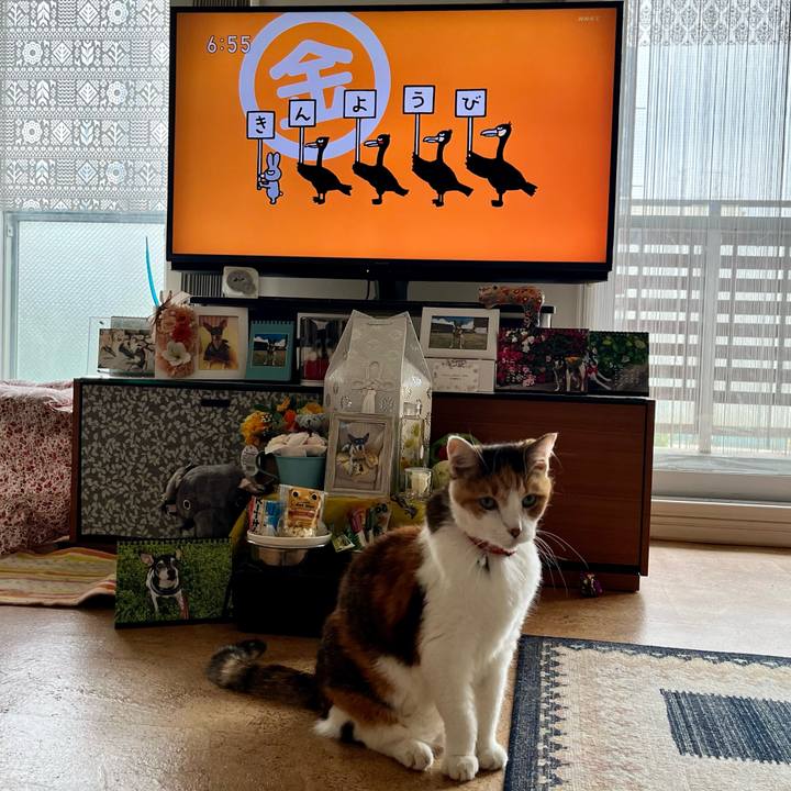 D502656f ea5a 41b7 b548 9c15448580af 1687471919211