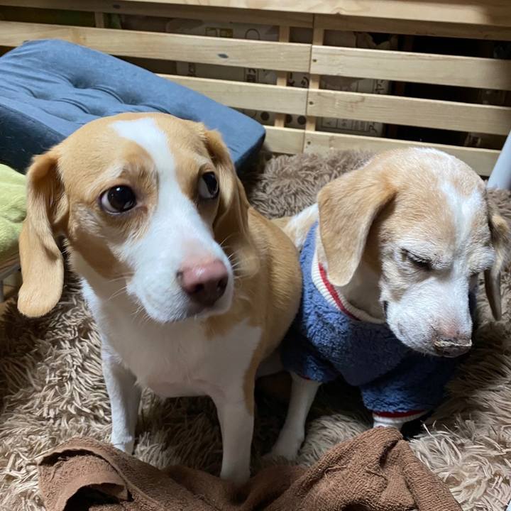 D5026606 ebef 44cf 889b 25e7743f9a48 1634638366448