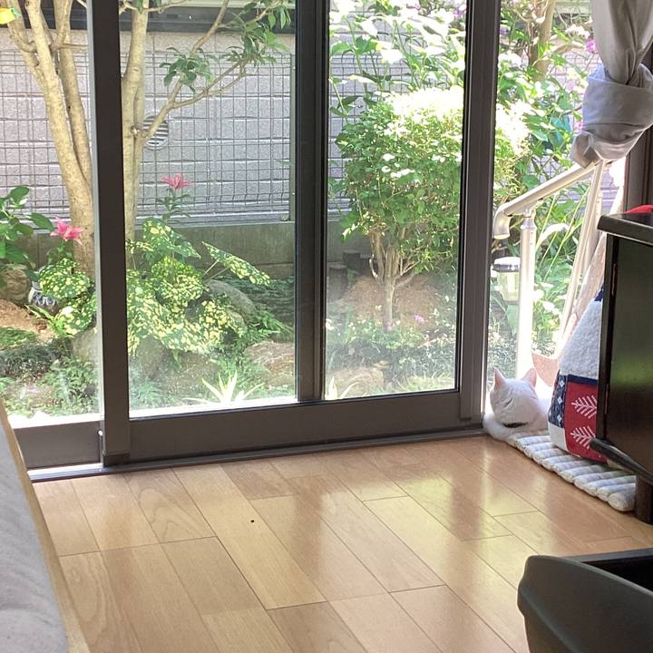 D5027e25 9de8 416b b8fb 900a78428fd3 1655087585218