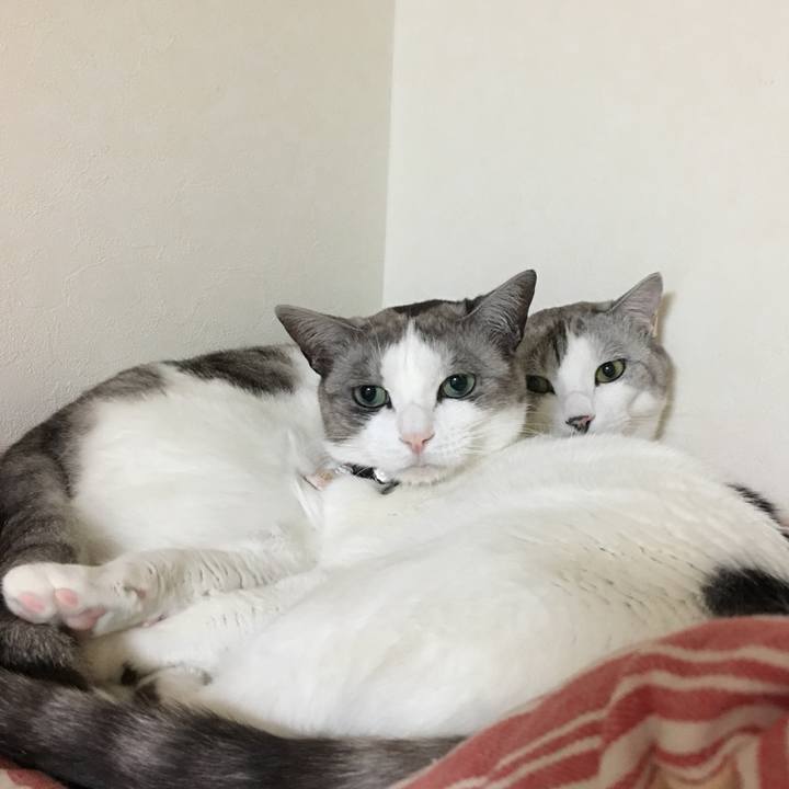 D50287f0 53cc 4f58 8a22 2d235fc3f5b6 1521634937313