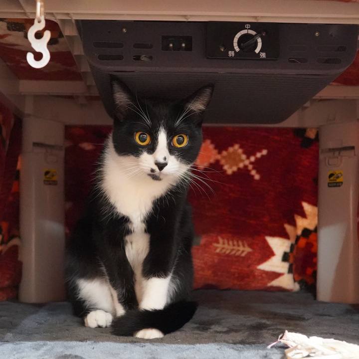 D5028e24 7175 4e86 94f9 d65fb22f5d23 1603205253601