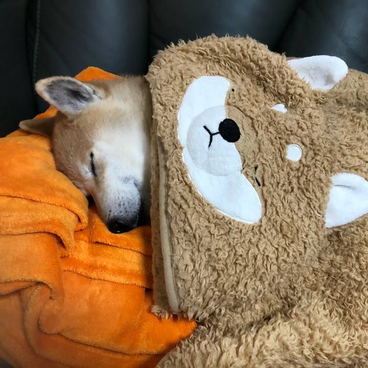 D502904d 20cd 491b b655 7997857e123c 1578984938368