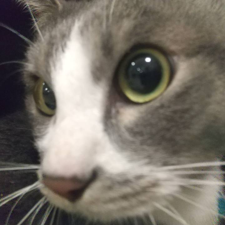 D5029be1 1ed5 41c4 af37 6d4c8efd9599 1648049230118