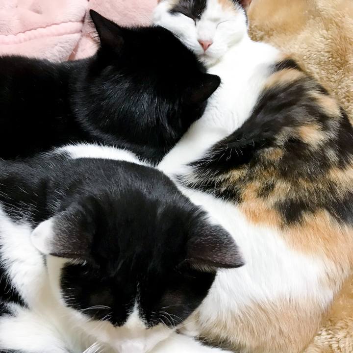 D5029cdb 59d1 4ce2 b95d 74a2cbb5bac4 1514298162812