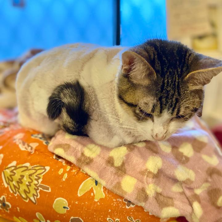 D502b3cc 5bd2 4a75 ba02 1ad32768d8c4 1706394898866