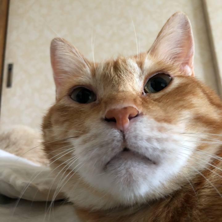 D502b833 71c0 459b a24e a8bb4c745cea 1633125424650