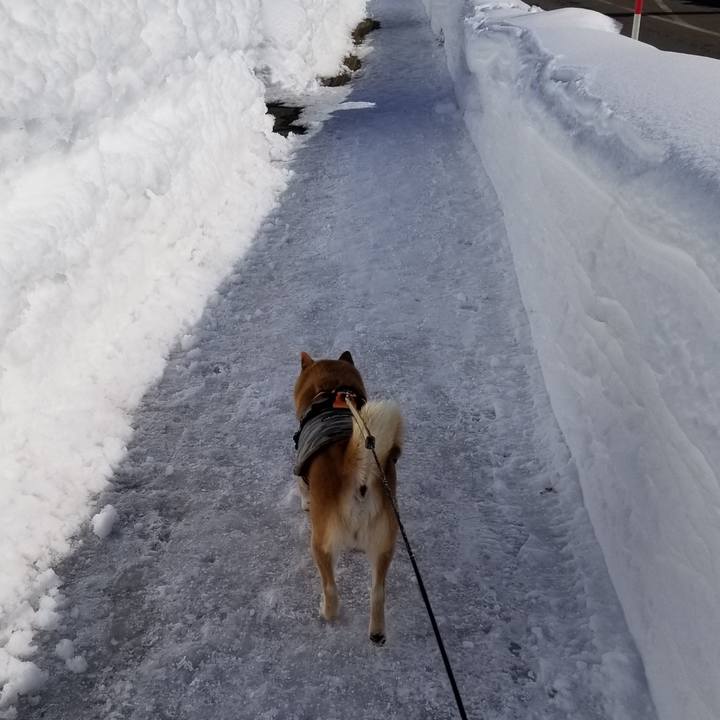 D5031555 c4f4 4718 8c93 76473395dbeb 1644300144829