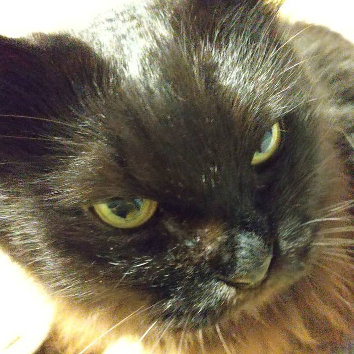 D503735c 78b5 4c52 a2a0 a48a3ab25463 1636028538724