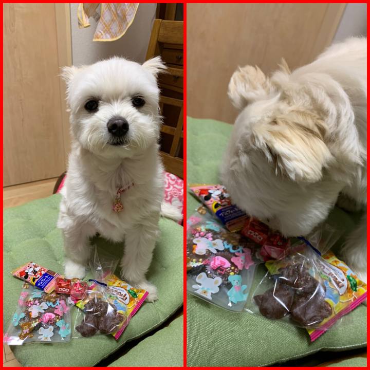 D503ba5a 6a90 4b09 a8c0 3cdc8f15a057 1581587361408