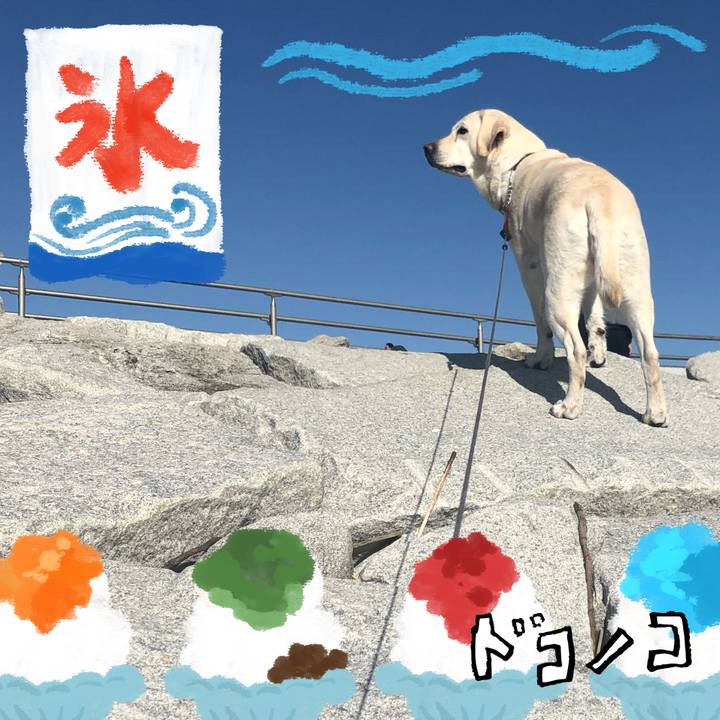 D503e6f4 42a1 42c8 afd6 848eca0d2317 1723253673621