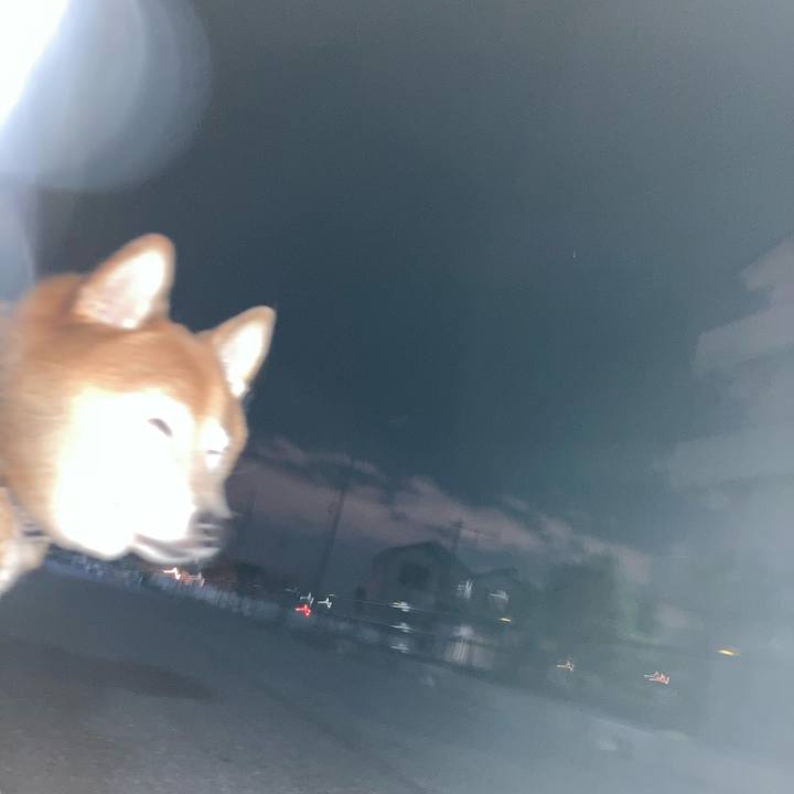 D50403e7 9c7d 4041 a8e3 4ec22cd02df4 1696508959039