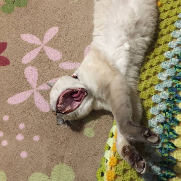 D50409ab 2c0f 4101 a2e5 3b197e38a56f 1573295778349