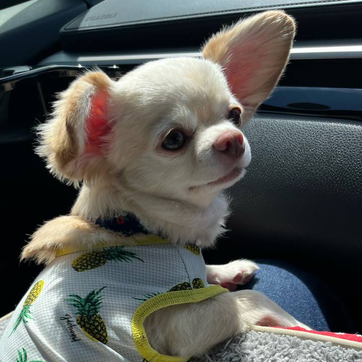 D5040a73 a06c 49bf 9247 9802966eac39 1723444324030