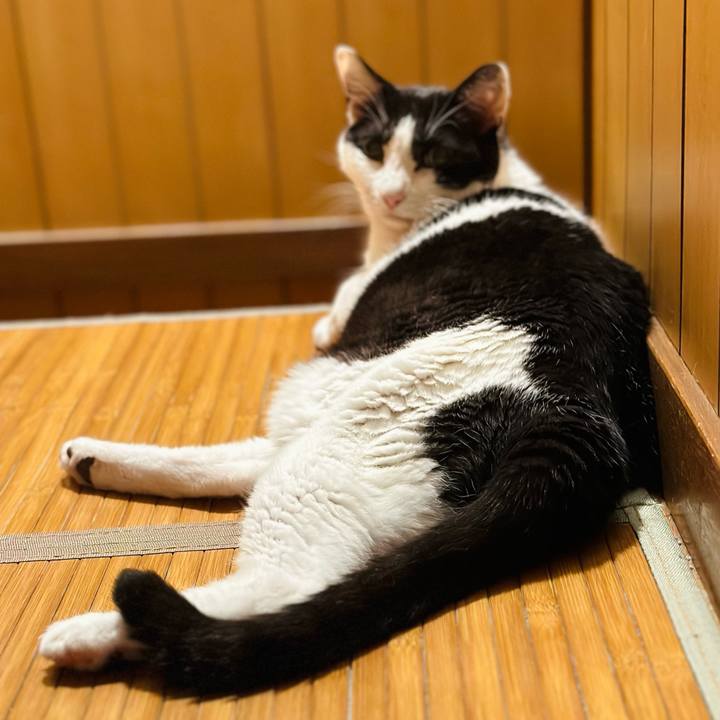 D504197f 39dc 45a0 bc77 96b74883ef62 1693184159023