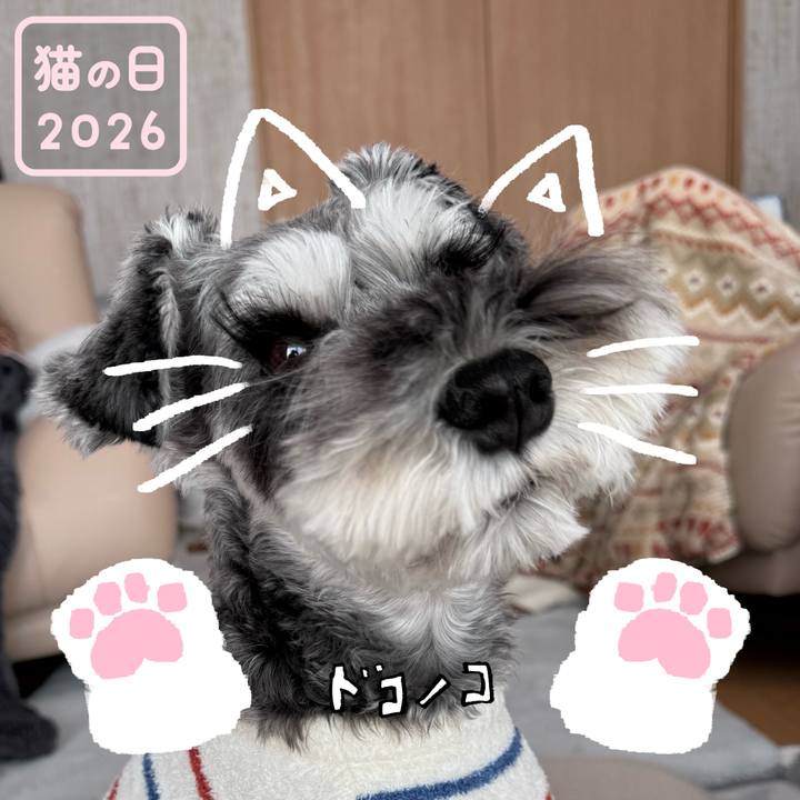 D5041fe8 4d83 4dab bddb 150d0c87e03d 1771725496515