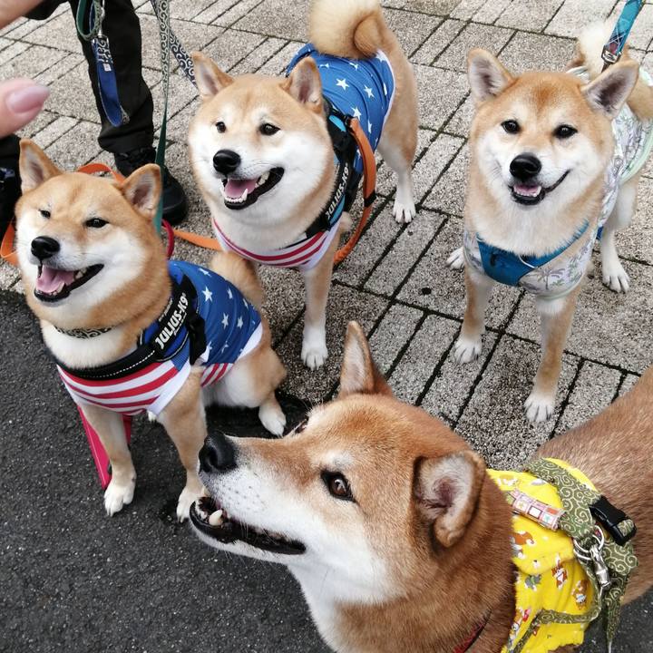 D5046c44 7e41 4924 b179 db310ff4f968 1601188962864