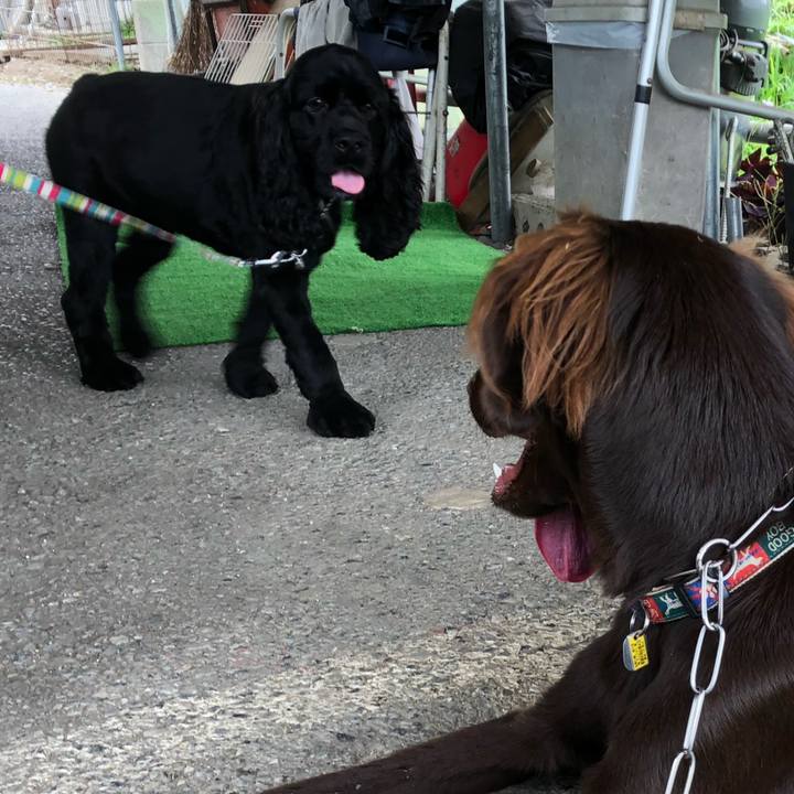 D5047826 0160 403c a9cf dfc28c587ffc 1567345273265