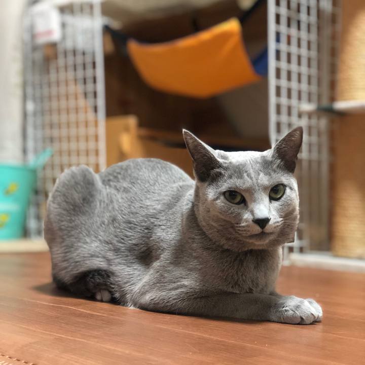 D504788b c72b 4d38 913a 6cee7a51a0b9 1547992680899