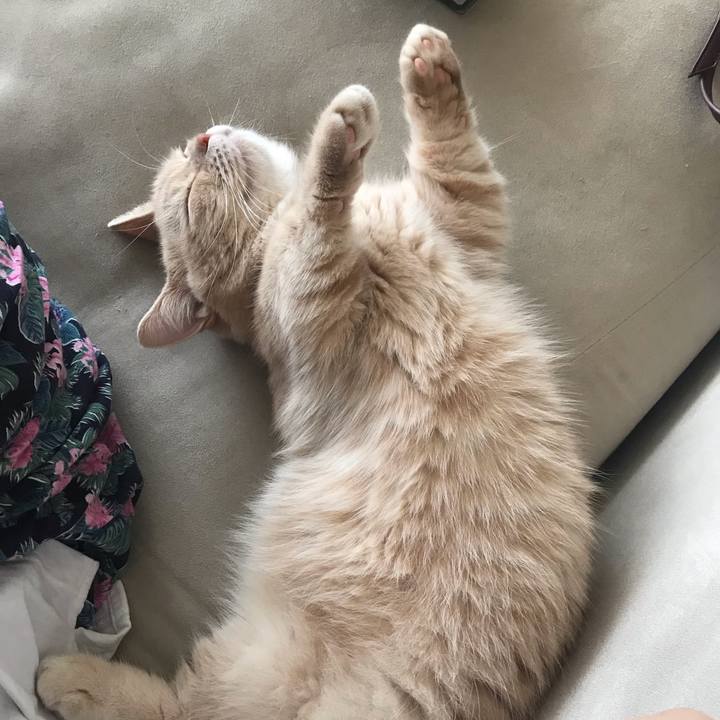 D504db01 23e9 451a 9c10 1ad0120d3452 1567924432550