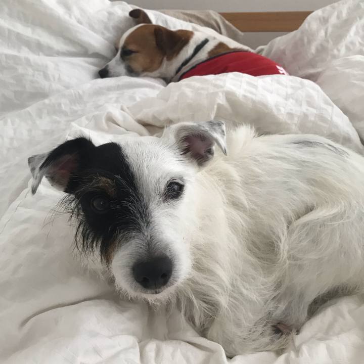 D5053609 d561 4f7d a030 25602cb6a4db 1537829595911