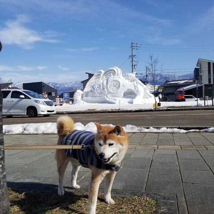 D5056dee d701 4310 b112 63b23adcbc8e 1676173810547