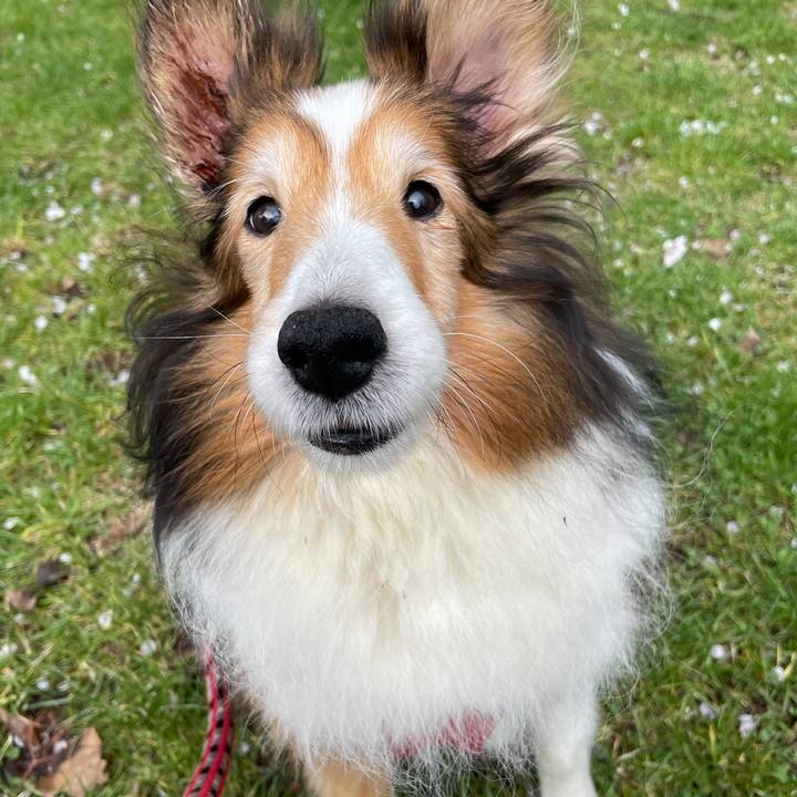 D505cd9c f3dc 4efe 9669 76f9a63c3323 1743229325492