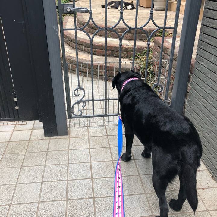 D505eeee 2a23 44f2 bfb6 b9070123e24c 1559744267109