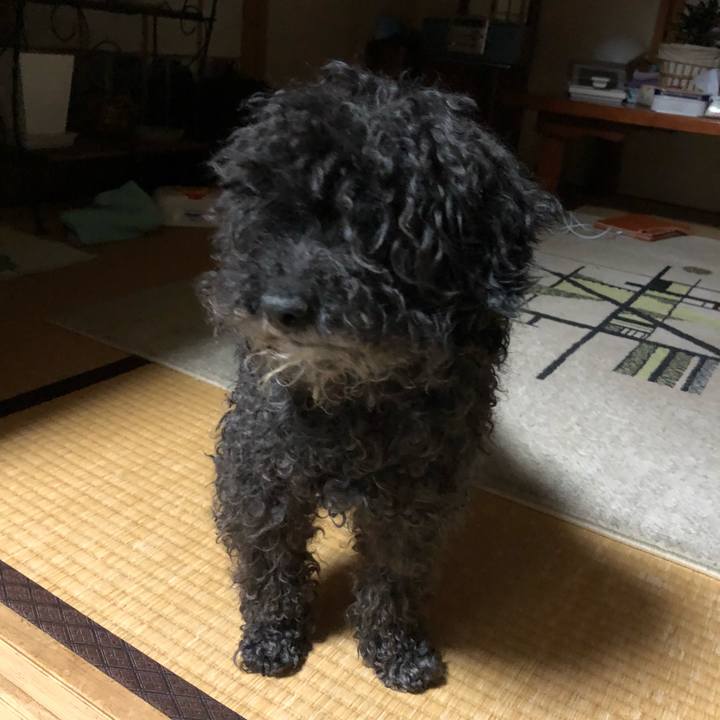 D50643f0 2485 4bce bfe1 e926630387e2 1523961785677