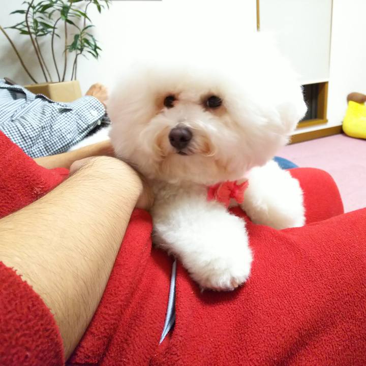 D5065ba7 b192 4f93 97de 3f35fa9e7c1e 1541071836772