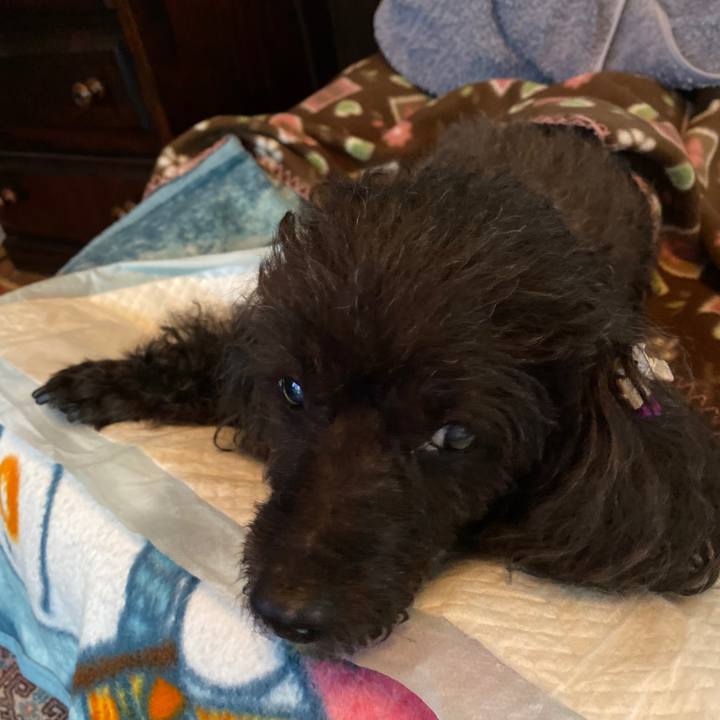 D50663fe 8760 4ed2 938a 5ceafd27ddfd 1602546443095