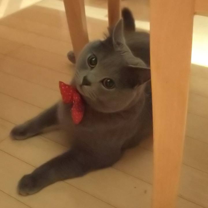 D5066d3a d033 4e85 82d9 76e83fd15a62 1548147090187