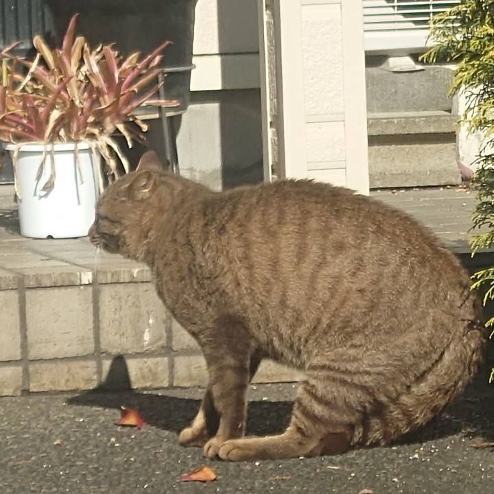 D506ae1d db70 4111 a6d4 dadb62724f49 1764907298220